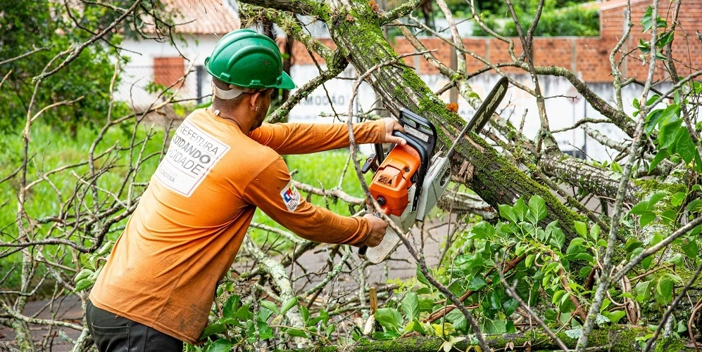 SEO for Tree Service Companies: A Complete Guide to Growing Your Business Online in 2025
